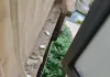 楼上乱扔垃圾