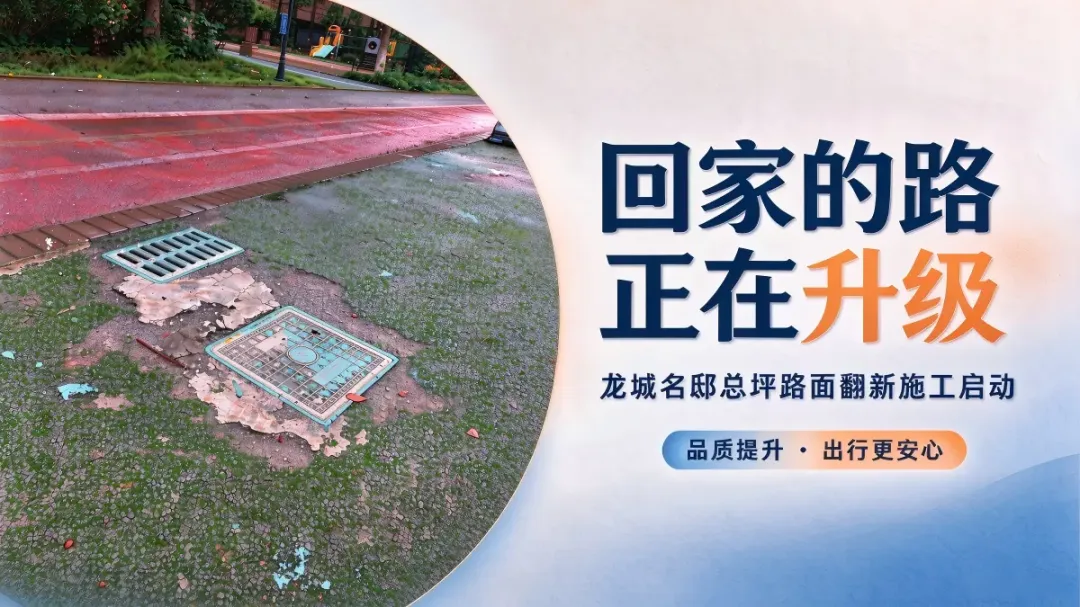龙城名邸-升级.webp